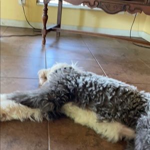 Meet your Posher, Susan